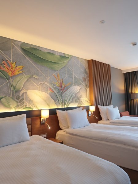 Standard Room (3 Person)