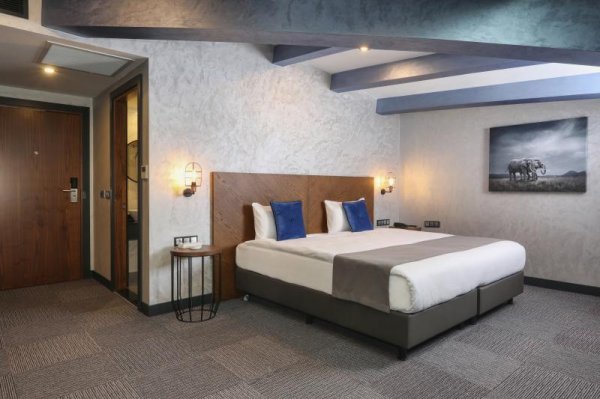 Deluxe Roof Penthouse Room