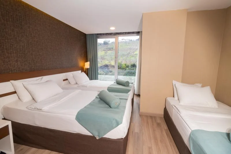 Standart Oda, Doğa Manzaralı (3 Kişilik)