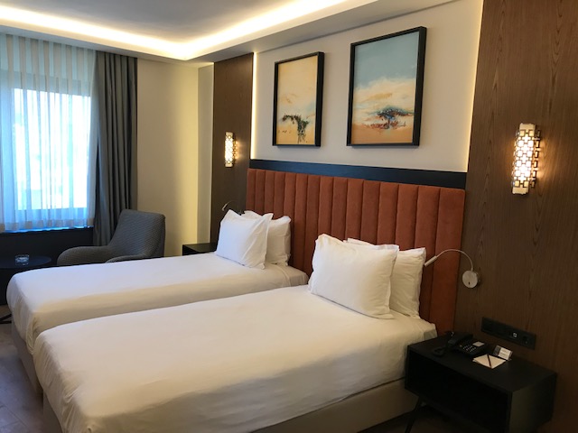 Deluxe Iki Ayrı Yataklı Oda, Şehir Manzaralı